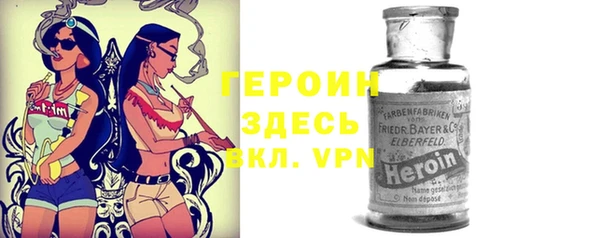 дмт Алексин