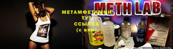 гидра Михайловск