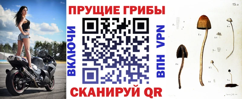 наркотики  Миллерово  MEGA рабочий сайт  Галлюциногенные грибы мицелий 